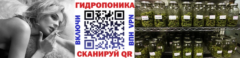 Конопля сатива  Ардатов 